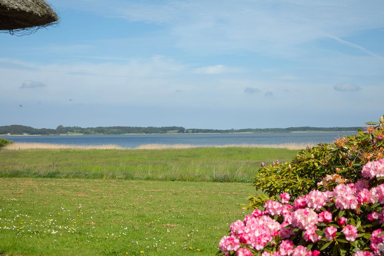 image 04